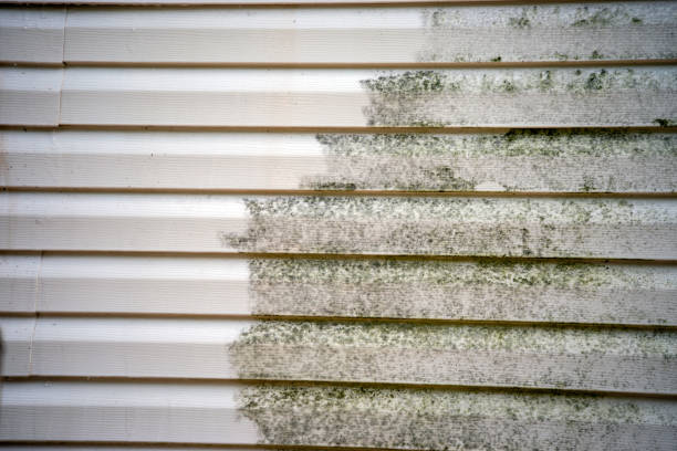 How To Choose The Right Materials for Your Siding Installation in 'Derwood, MD